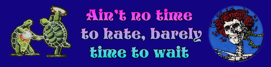 Ain't no time to hate, barely time to wait