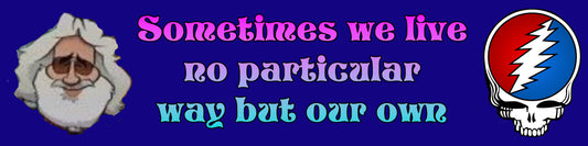 Sometimes We Live No Particular Way But Our Own