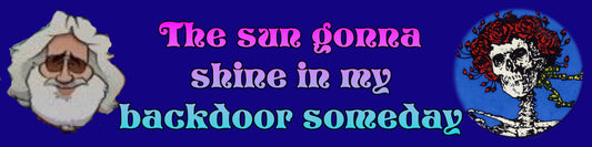 The Sun Gonna Shine in My Back Door Someday