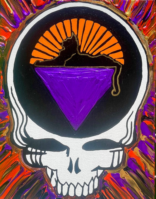 Steal Your Face - Cats Under the Stars