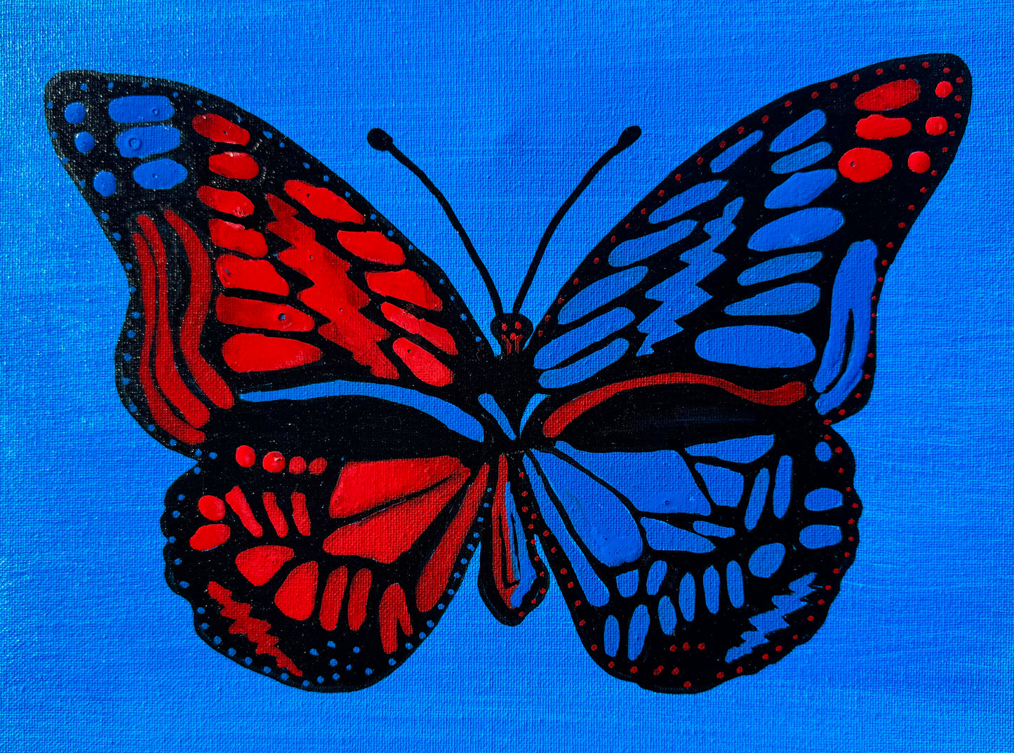Stealie Monarch Butterfly