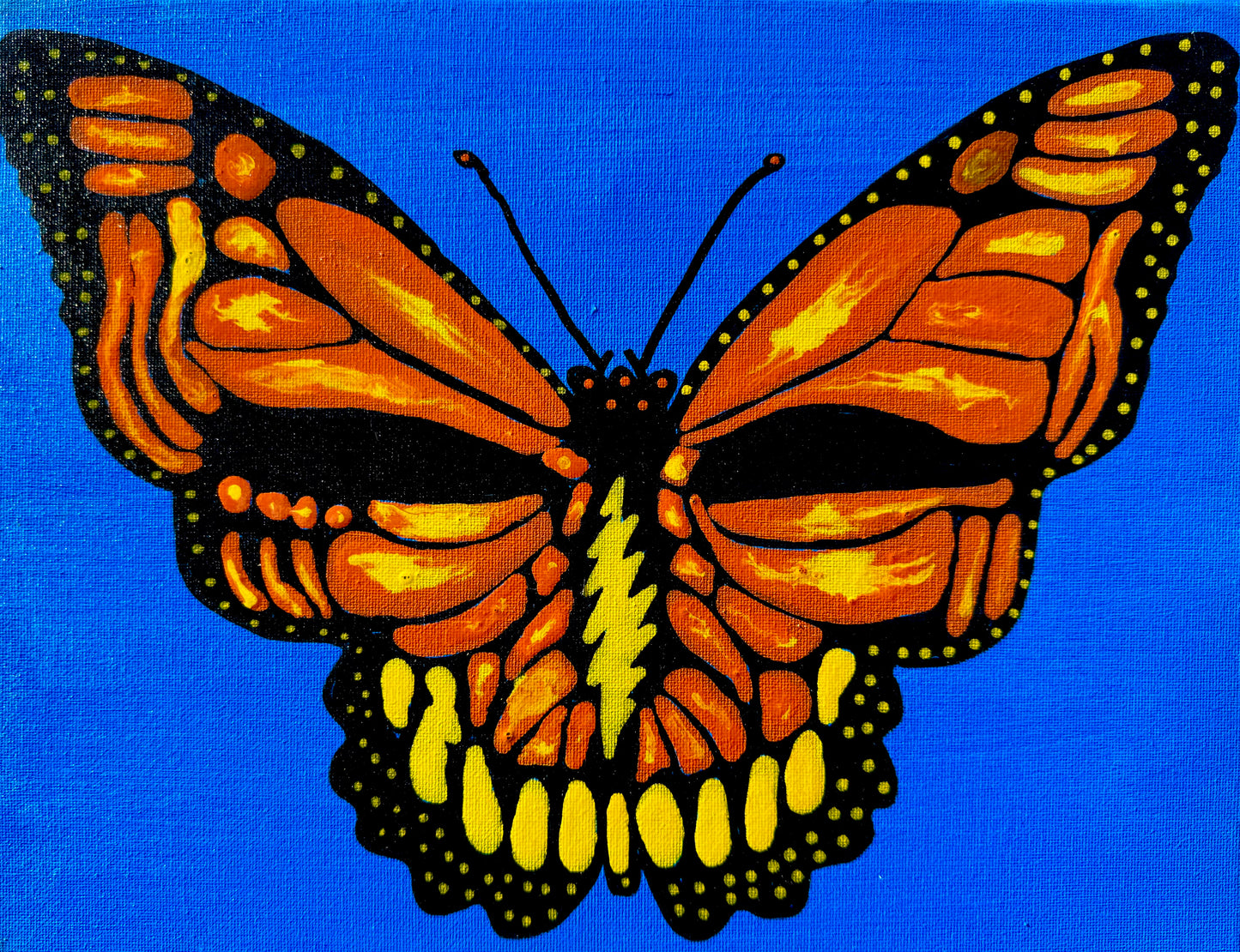 Stealie Monarch Butterfly