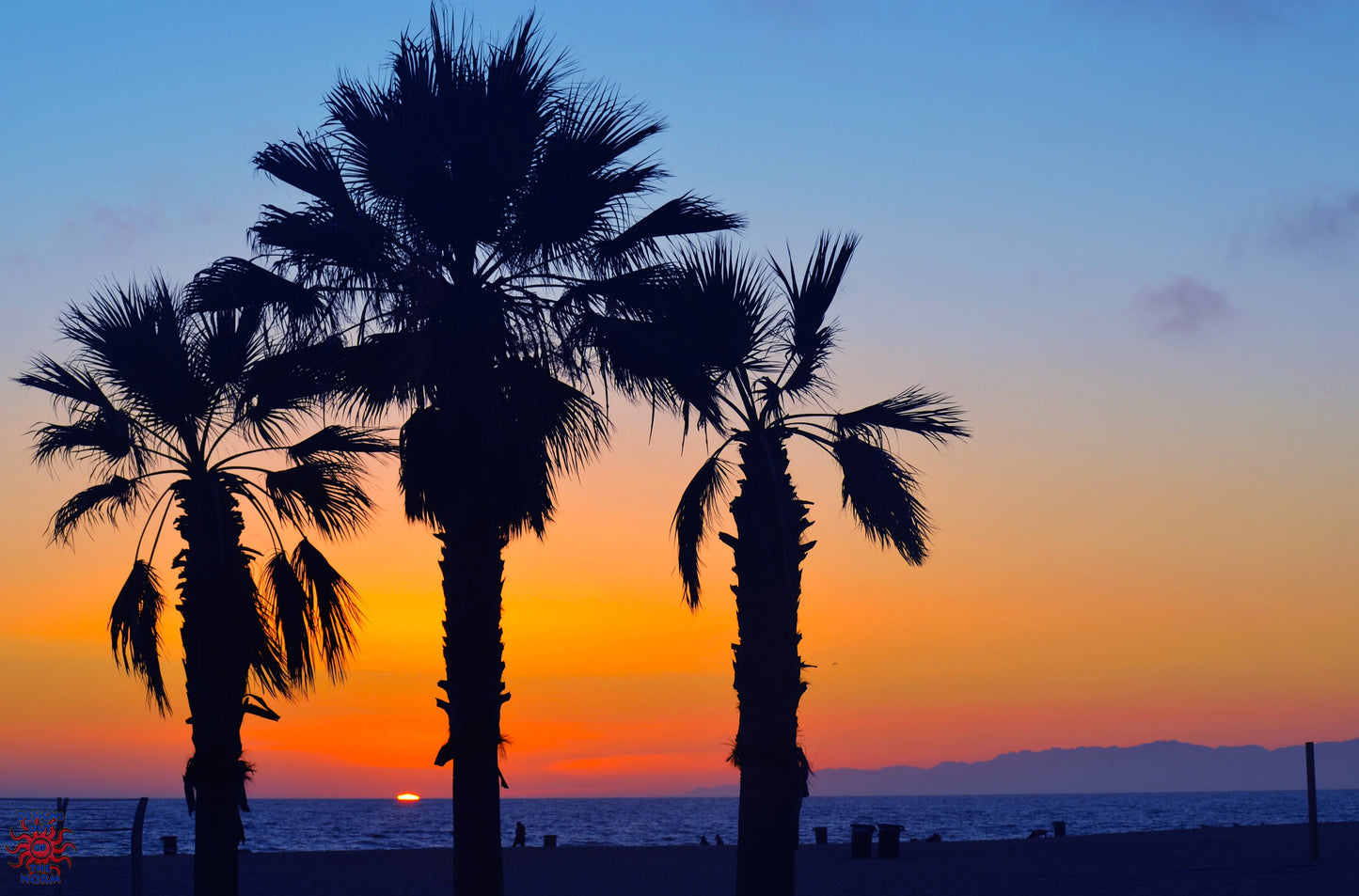 Hermosa Beach Sundown Palms