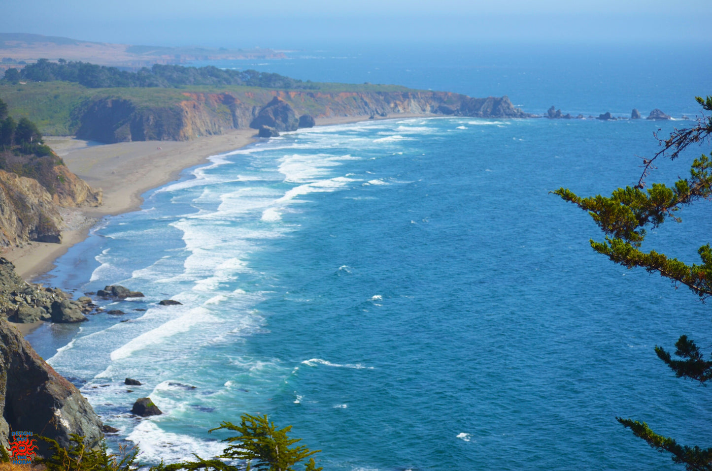 Big Sur Thru The Tree