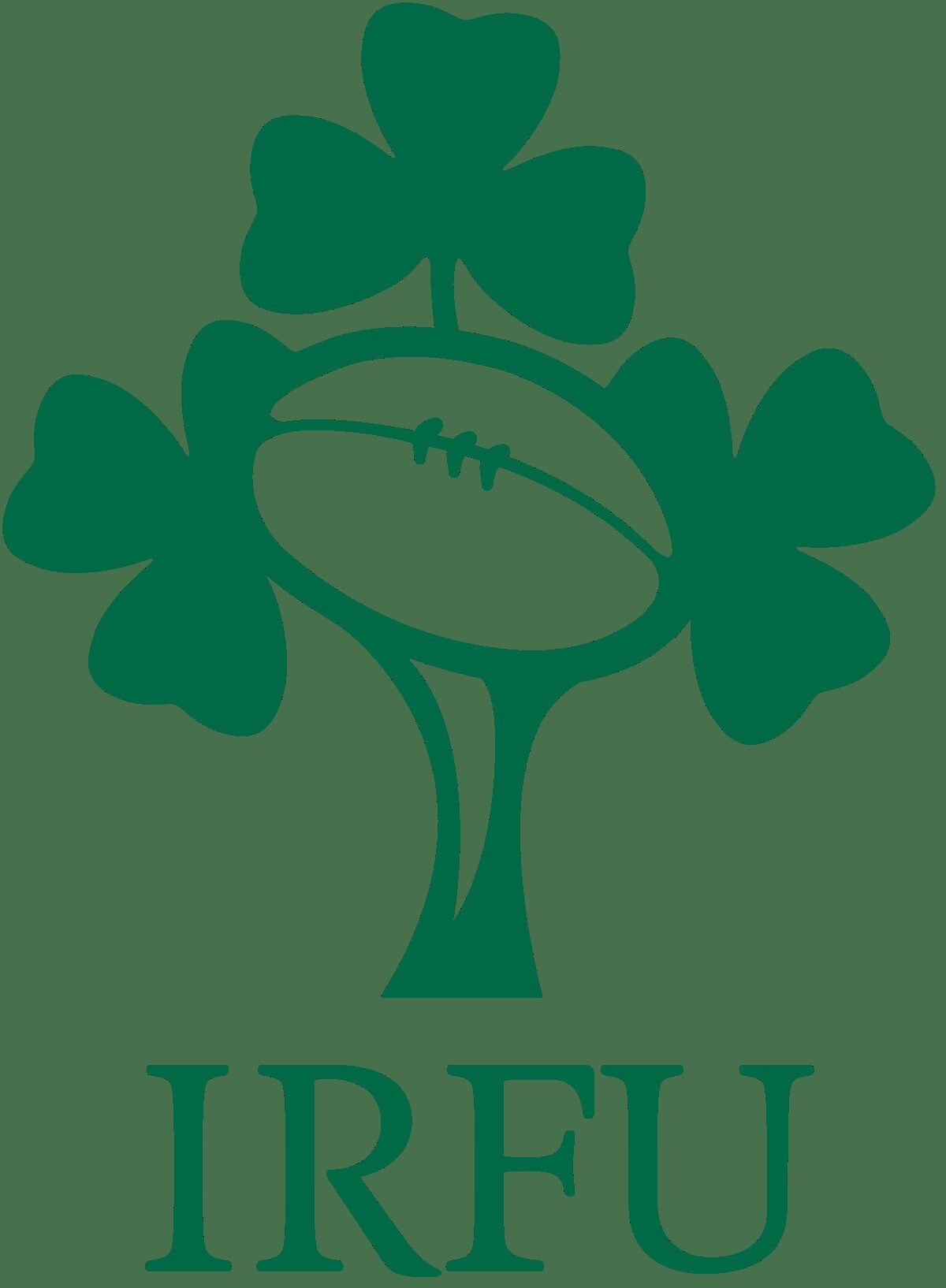 Ireland Rugby Stone