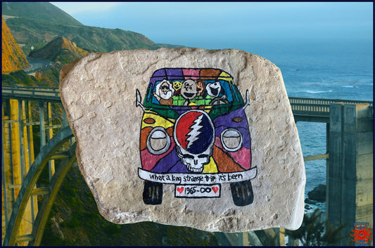 Grateful Dead & Peanuts VW Steal Your Face