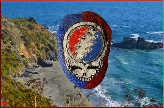 Dead & Company Stealie